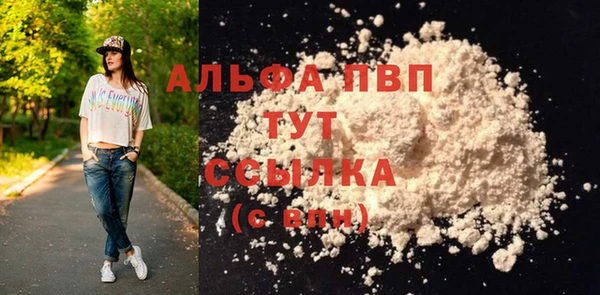 ECSTASY Богородск