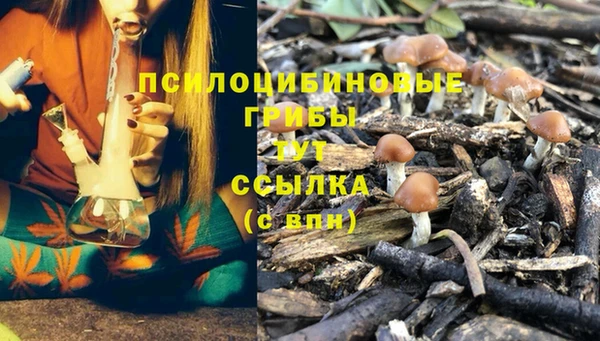 соль курить ск Белокуриха